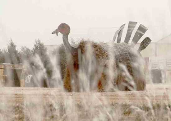 (Connie Jo Discoe/McCook Daily Gazette)